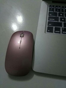 苹果电脑怎么调节鼠标灵敏度(苹果电脑鼠标不灵敏怎么办)