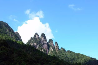 6月吉星高照,财运铺路,3生肖运势飙涨,富贵逼人 好运 