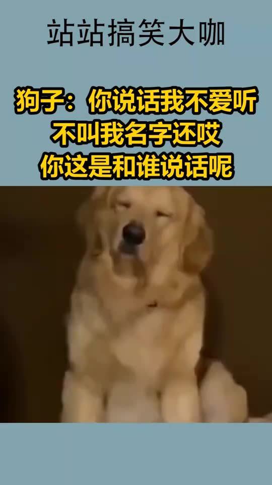 狗子你说话我不爱听,不叫我名字还哎,你这是和谁说话呢 