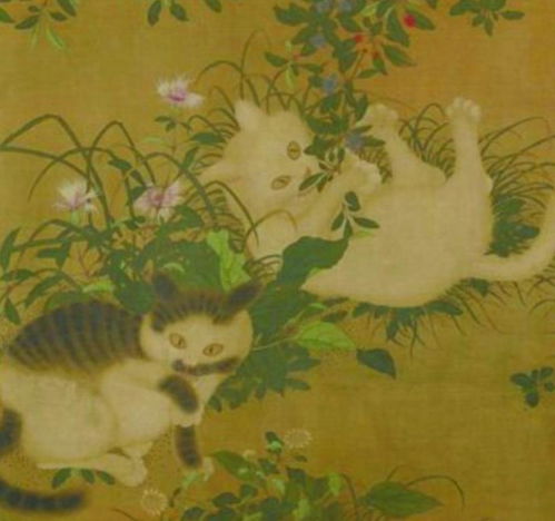 宫猫图鉴 她在故宫撸猫8年,揭开故宫600年宫猫往事