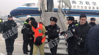 黑龙江警方打掉特大诈骗犯罪团伙 抓获234人 
