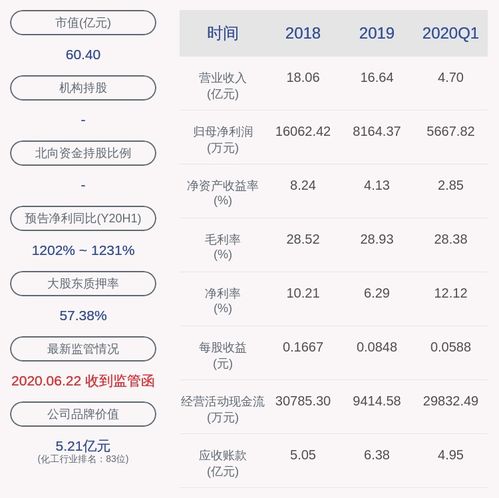 阿拉山口市雅本创业投资有限公司怎么样？