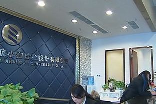 昆仑控股旗下杭州市西湖区昆仑小额贷款有限公司是什么时候成立营业的？