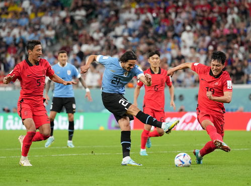 卡塔尔世界杯 足球 H组 乌拉圭战平韩国