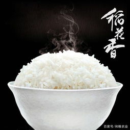 陈米价格 陈米批发 陈米用途 陈米和新米的区别