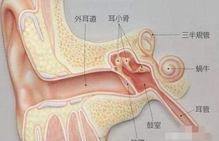 小宝宝耳屎有意想不到的作用,家长不要随便给婴儿掏耳朵噢