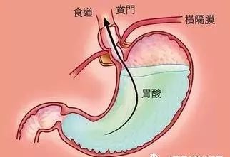 奇怪的医疗冷知识，奇怪的医学知识(奇怪的医学名词)