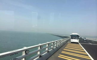 青岛跨海大桥，和海底隧道是从哪里通往哪里？