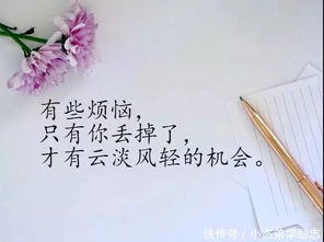 励志语录经典20字感悟  诫子书的读后感50字？