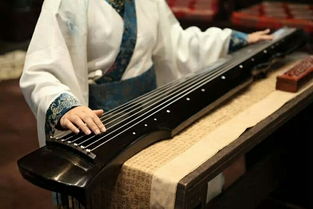 中国会弹古琴有多少人