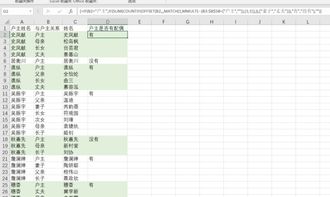 Excel,知道与户主关系,如何统计出户主是否有配偶 