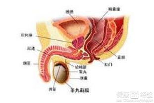 如何治疗前列腺炎