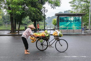 重庆外地车是否限行