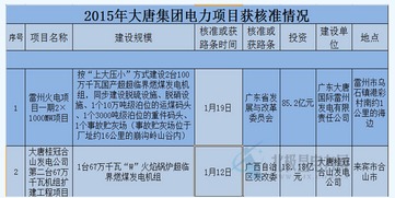 为什么大唐电力要求下面必须亏损