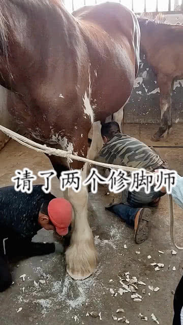 好马配好师傅,这就是差别 