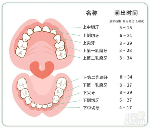 孩子门牙磕掉,后续治疗费1.5万 忽视3件小事,遭罪又伤财