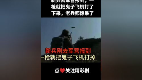 我的观影报告 