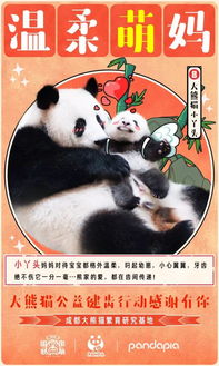 咬合力排名第五的大熊猫,其实也有着温柔的一面 