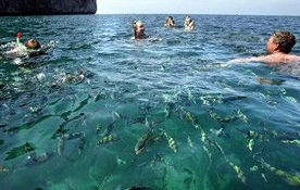 普吉岛马尔代夫游泳沐浴在热带天堂的海洋中