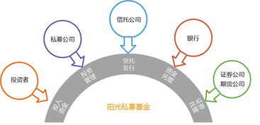 阳光私募基金的组织架构是怎样的？