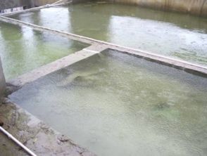 水池缝隙漏水怎么弄(水池缝隙堵漏用什么材料好)