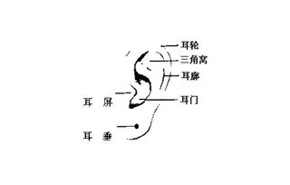 男人耳朵长痣面相图,男人耳朵上长痣代表什么,男人耳朵长痣好不好 