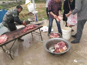 农村老人过世宰了一头猪 在城市这样场景不多见 