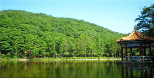 洛阳嵩县天池山国家森林公园门票团购 门票价格,景区地址 