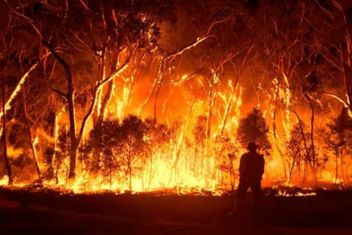 澳洲突发山火,警方道路封锁,数百名居民紧急撤离 竟是人为导致