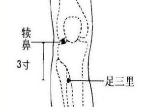 经常按摩这6个穴位,不仅降血糖,还预防糖尿病