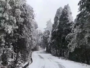 什么时候能够下雪？