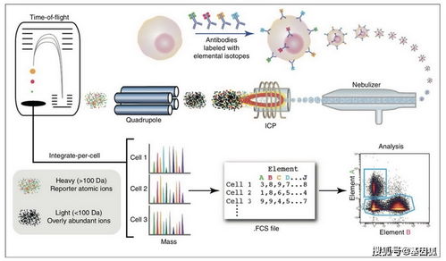 经验分享 质谱流式细胞技术简介