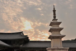 路寺阁，探索古老建筑的艺术与文化内涵，路寺台村