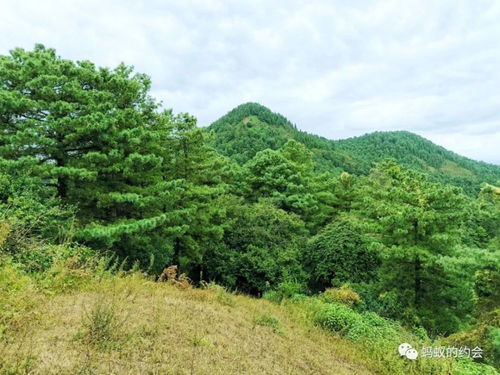 车家壁爬山徒步,走进未知山林