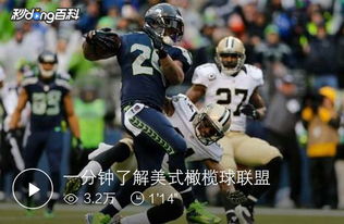 美国职业橄榄球联盟 NFL 现役或退役的,都有哪些超级人物 (橄榄球新添球员是谁)