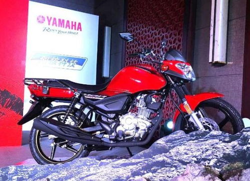 YAMAHA150是什么时候上市的？