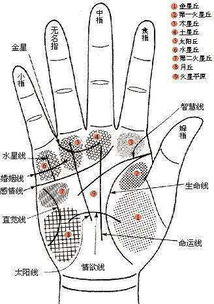 古相术看婚姻手相秘诀