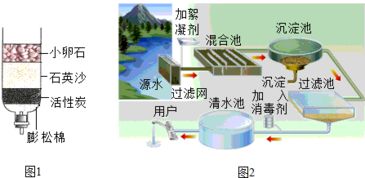 净化池怎么弄好看的水？水池净水方法(水净化池怎么建)