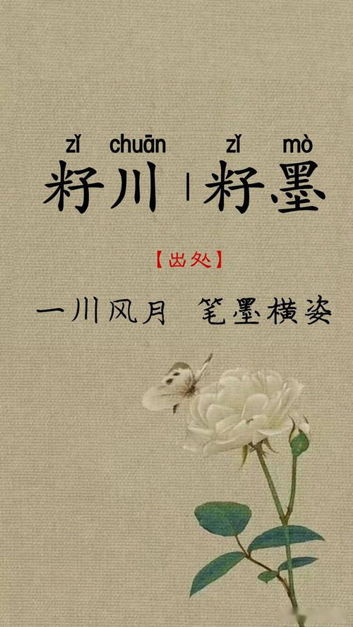 一儿一女起通用鼠宝宝名字