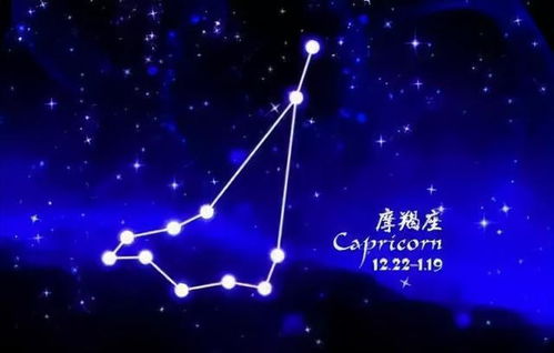 十二星座的爱情观,你了解过吗