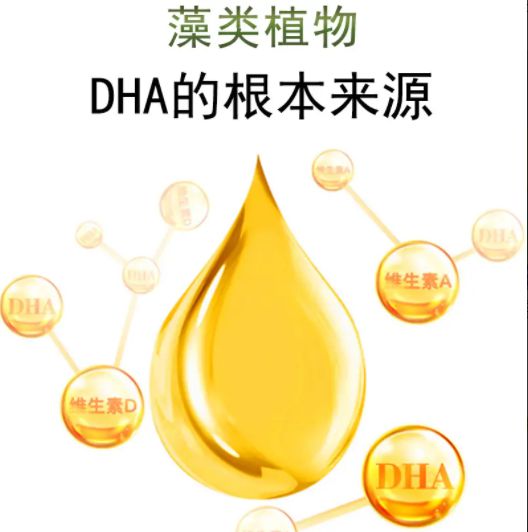 DHA哪个牌子靠谱 DHA产品怎么选