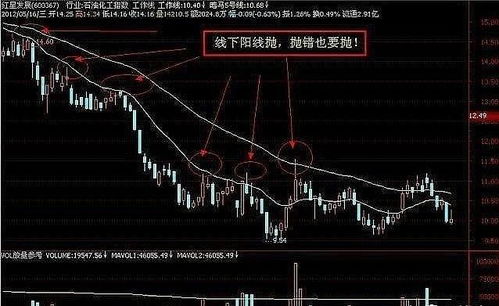 下一周股市会不会反弹收出阳线呀