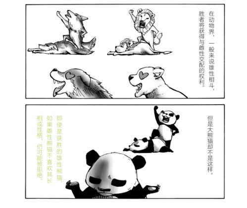 奇奇怪怪的冷知识丨熊猫是怎么变成国宝的