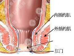 肛门瘙痒的主要症状