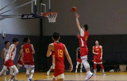 上海篮球直播视频直播
