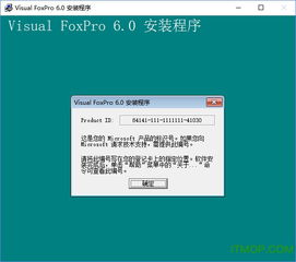 vfp6.0完整版官方