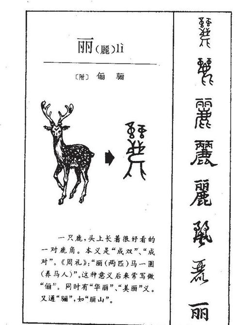 10个带丽字清新俊逸的宝宝名字,一招解决起名问题