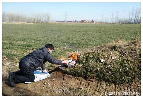 清明不一般,老人说 今年上坟5讲究,添土不能随便添 ,啥讲究