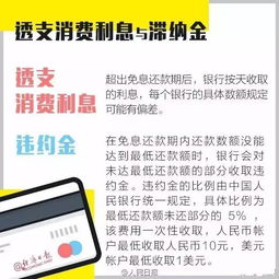 秦皇岛律师白延伍 原来信用卡逾期不还款有这么严重的后果 信用卡,你真的会用吗 