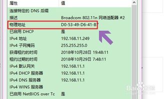 win10怎么查找多个网卡地址